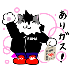 TourryCat2
