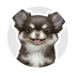 tommxiu_20260114232919