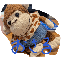 panda_20260112211934