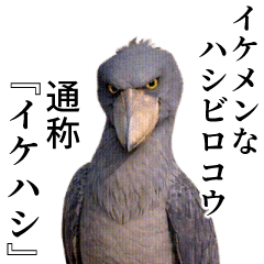 [Can be used all year round] Ikehashi