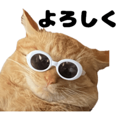 K_20260114235625