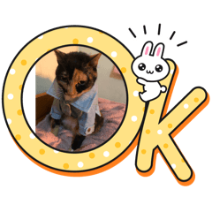 我最愛的寶貝女兒小花