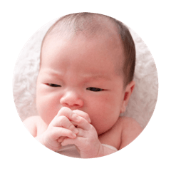 小熊生活日常照