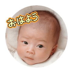 MUGI_20260115115035