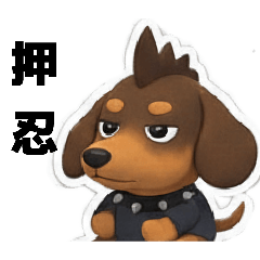 ayakooregon_20260115124333