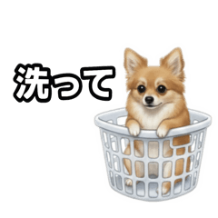 Nicosuki_20260114163140