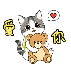 Momo Cat 2 | Daily Use