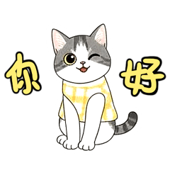 Momo Cat | Daily Use
