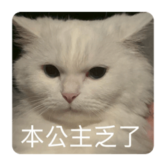 愛生氣公主的口頭禪