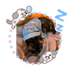 我最愛的女兒小花