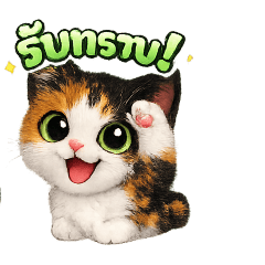 Nadech Sirikong_20260114172851