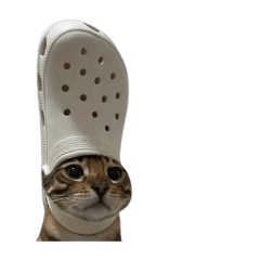 kamol_20260114214757