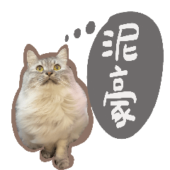 Hide & Seek Master Loki