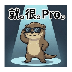 流行迷因梗集合啦！小水獺Taco懂