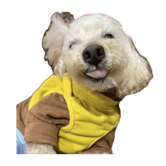 honita_20260112233316