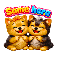 ยอร์คกี้อ้วนกลม คำพูดอังกฤษน่ารักๆ