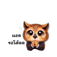 Natthaya_20260115113826