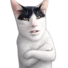 Unbothered Savage Catto