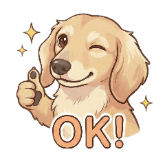 表情豊かなリクくん【ミニチュアダックス】