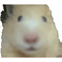 minmin_20260113120854