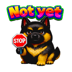 ชิบะดำอ้วนกลม คำพูดอังกฤษสุดน่ารัก