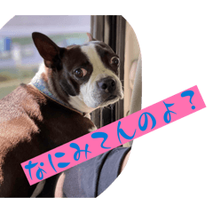 momitan_20260115142018