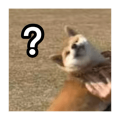 potatooooooooooooooooo