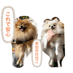 enana stamp_20260115151123