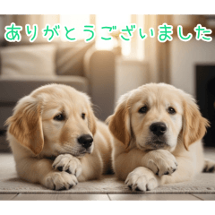 [ありがとうございました]仲良しゴールデン