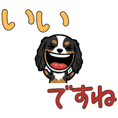 敬語のトライキャバリア5