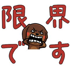 敬語のチョコダックス5