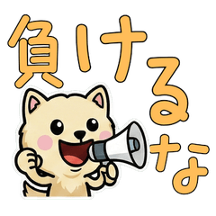 Overreaction Golden Chinchilla 3rd