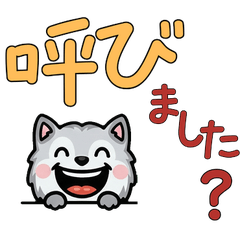 敬語のチンチラシルバー5