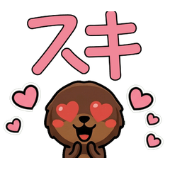 オーバーなチョコダックス3