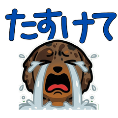 オーバーなダップルダックス3