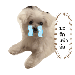 Mei mei the dog (TH)