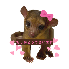Rei_20260114003250