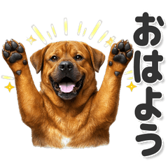 毎日使える！ 土佐犬