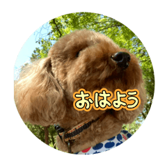yuka_20260115205324