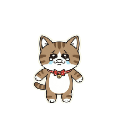 PONZU_20260116025357