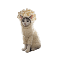 makimaki_20260115213543