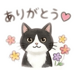 eightman_20260115214309