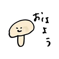 ENGAWA_20260115225729