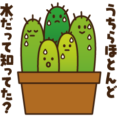 Succulent plant Family