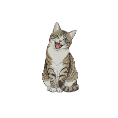 TOMY M_20260115182730