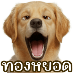 Thongyod the curious one, Part 1.