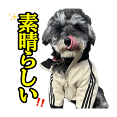 yucchan_20260115155859