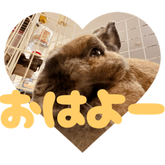 Haruka123456789meiko