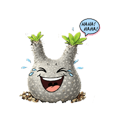 Bobby_20260115222215