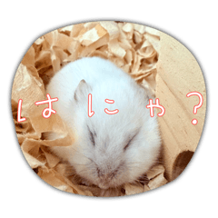 haruna_20260115235751